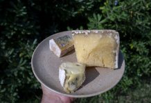 Nouvelles Recommandations Contre Salmonellose et Listériose Nouvelles Recommandations Contre Salmonellose et Listériose