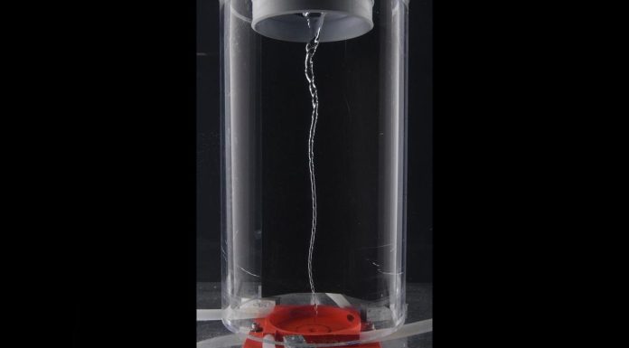 L’Art de Faire Vibrer les Tourbillons L’Art de Faire Vibrer les Tourbillons