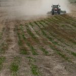 Déclin Alarmant des Populations D’Oiseaux Agricoles Déclin Alarmant des Populations D’Oiseaux Agricoles
