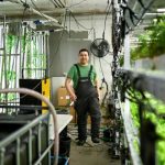 Pari Fou D’Un Entrepreneur pour Cultiver Salades Groenland Pari Fou D'Un Entrepreneur pour Cultiver Salades Groenland