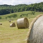 Alimentation comme Arme de Guerre, Alerte du Commissaire Alimentation comme Arme de Guerre, Alerte du Commissaire