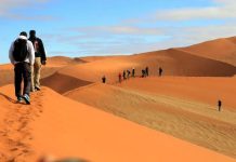 Afrique: un Potentiel Touristique Freiné Afrique: un Potentiel Touristique Freiné