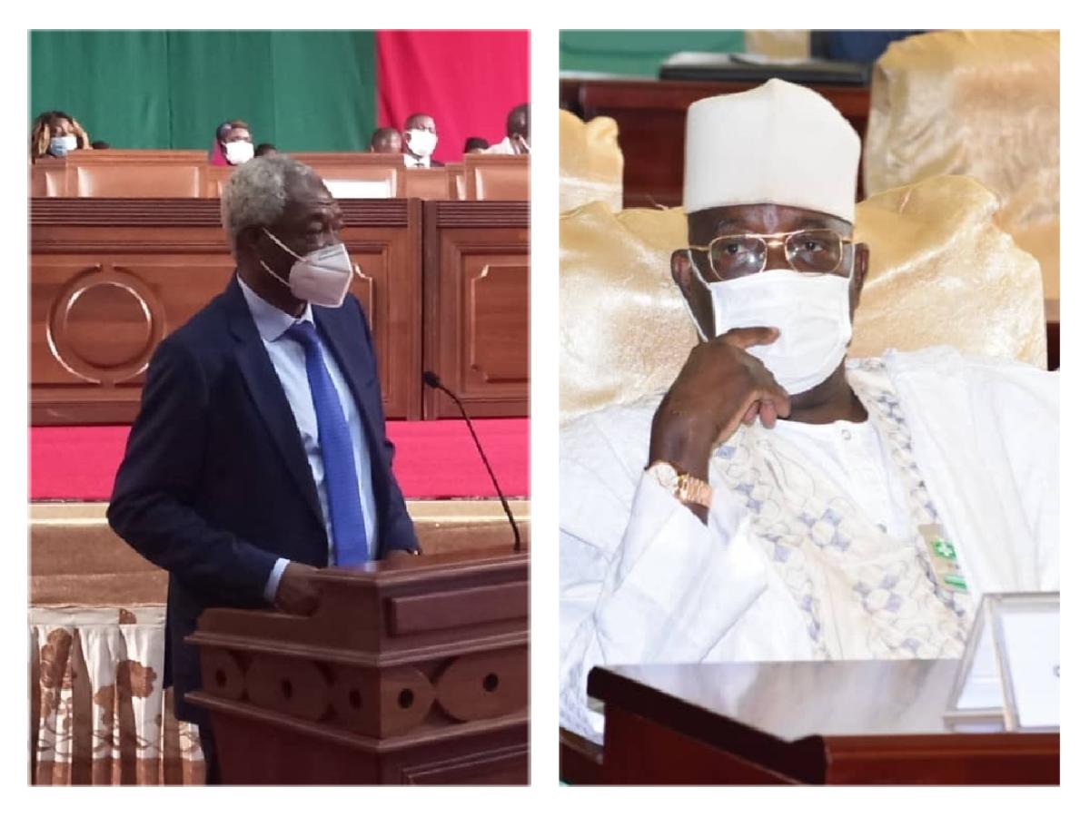 Cameroun parlement, le cimetière de l’esprit du vote Cameroun