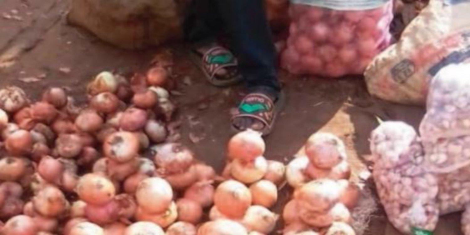 Le prix de l’oignon baisse: voici combien il coûte sur le marché camerounais