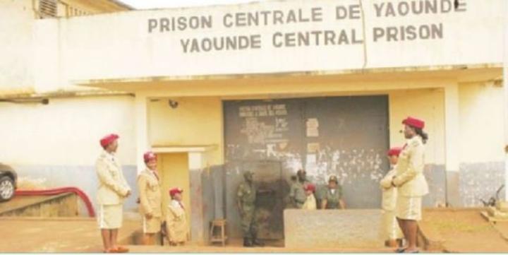 Justice: un commerçant écope de 10 ans de prison pour fraude fiscale Justice: un commerçant écope de 10 ans de prison pour fraude fiscale