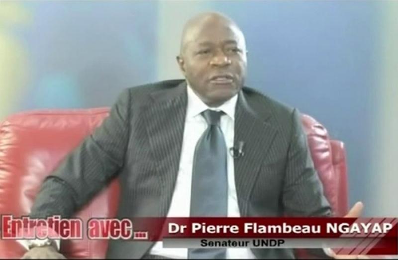 Cameroun – « Illégalité » de 18 dirigeants de société publiques: Le sénateur Pierre Flambeau Ngayap veut à son tour saisir le Conseil Constitutionnel Cameroun – « Illégalité » de 18 dirigeants de société publiques: Le sénateur Pierre Flambeau Ngayap veut à son tour saisir le Conseil Constitutionnel