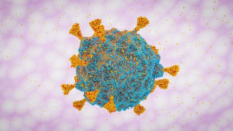 Coronavirus : le variant Omicron ne rend pas les patients gravement malades pour l’instant, selon les médecins sud-africains Coronavirus : le variant Omicron ne rend pas les patients gravement malades pour l’instant, selon les médecins sud-africains