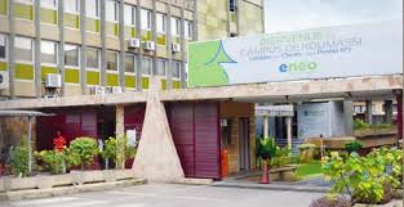 Energie électrique: ENEO promet aux populations de Douala une CAN sans désagréments Energie électrique: ENEO promet aux populations de Douala une CAN sans désagréments