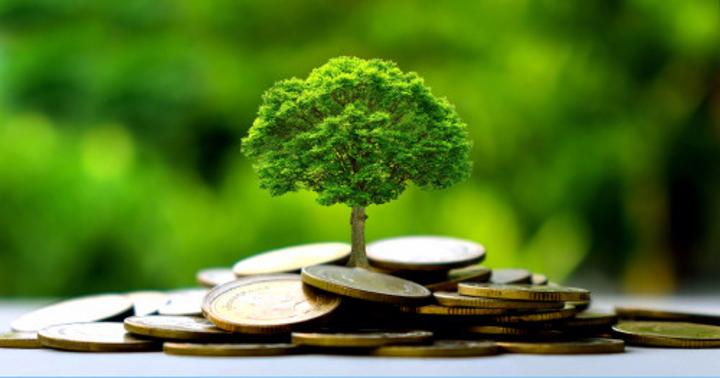 Finance climatique : la Banque africaine de développement renforce les capacités des acteurs au Cameroun Finance climatique : la Banque africaine de développement renforce les capacités des acteurs au Cameroun