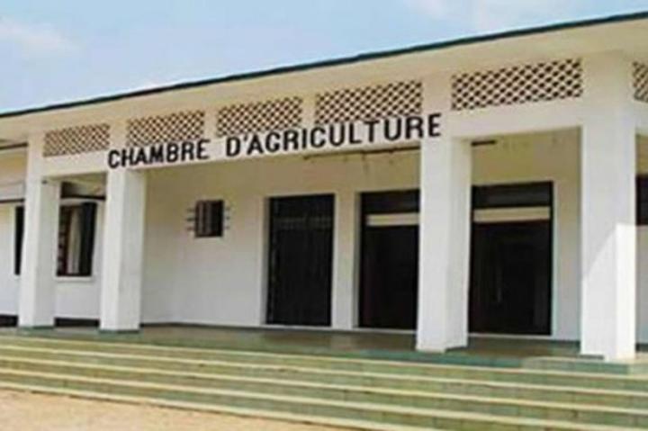 La Chambre d’agriculture veut mettre en place un dispositif de financement agricole, inspiré de l’Inde et de l’Indonésie La Chambre d’agriculture veut mettre en place un dispositif de financement agricole, inspiré de l’Inde et de l’Indonésie