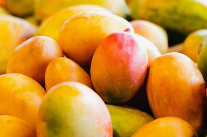 Le Cameroun dans la liste des pays interdits d’exporter papayes, tomates, oranges, mangues… vers l’Europe Le Cameroun dans la liste des pays interdits d’exporter papayes, tomates, oranges, mangues… vers l’Europe
