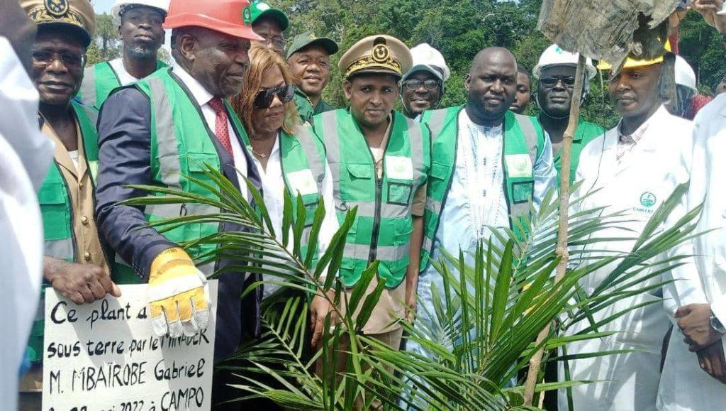 Cameroun-huile de palme : Camvert veut booster la production locale