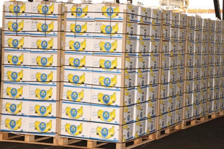 Bananes : à fin mai 2022, la CDC n’a exporté que 8 443 tonnes, soit presque 3 fois moins qu’à la même période en 2018 Bananes : à fin mai 2022, la CDC n’a exporté que 8 443 tonnes, soit presque 3 fois moins qu’à la même période en 2018