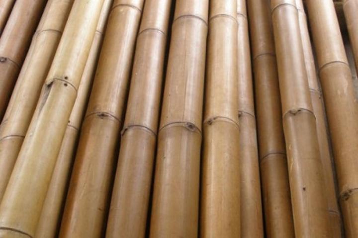 Le Cameroun prépare une stratégie de développement de la filière bambou, gisement d’emplois et de richesses Le Cameroun prépare une stratégie de développement de la filière bambou, gisement d’emplois et de richesses