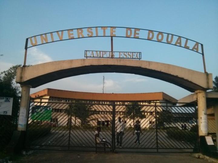 Cameroun-Université de Douala : un enseignant sort un pistolet pour menacer le directeur des affaires financières Cameroun-Université de Douala : un enseignant sort un pistolet pour menacer le directeur des affaires financières