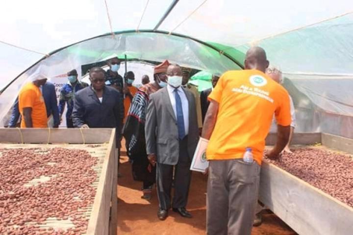 Cacao-café : 39 milliards de FCFA injectés dans la filière camerounaise en 14 ans, sans résultats probants Cacao-café : 39 milliards de FCFA injectés dans la filière camerounaise en 14 ans, sans résultats probants
