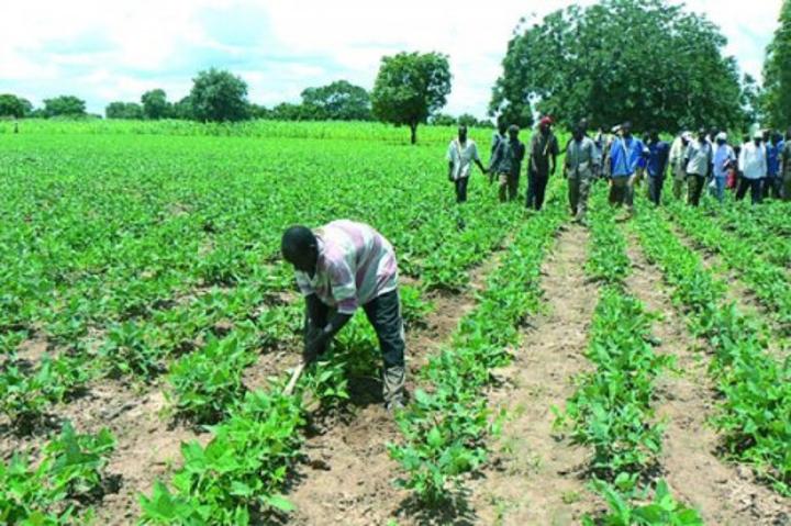 Agriculture, élevage, pêche… : la Capef s’associe à Fagace pour faciliter l’accès des producteurs aux financements Agriculture, élevage, pêche… : la Capef s’associe à Fagace pour faciliter l’accès des producteurs aux financements
