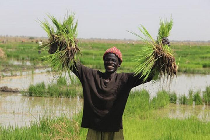 Le Cameroun veut investir 1,2 milliard de FCFA pour aménager 7000 ha de périmètre hydroagricole dans le septentrion Le Cameroun veut investir 1,2 milliard de FCFA pour aménager 7000 ha de périmètre hydroagricole dans le septentrion