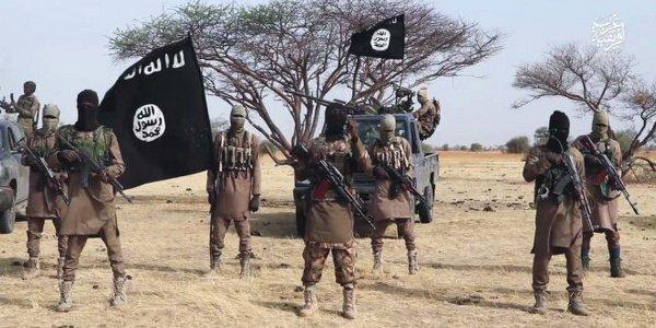 Deux cadres de Boko Haram baissent leurs armes et se rendent à l’armée camerounaise
