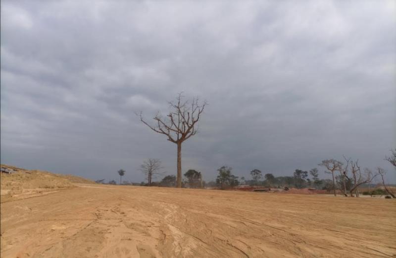 Exploitation minière: Le Préfet de la Kadéy (Est) envisage le reboisement du chantier de Kambele Exploitation minière: Le Préfet de la Kadéy (Est) envisage le reboisement du chantier de Kambele