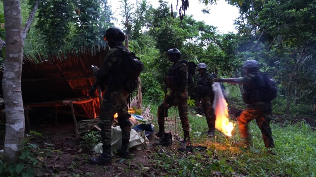 Cameroun-Nord-Ouest : 15 combattants séparatistes neutralisés par l’armée