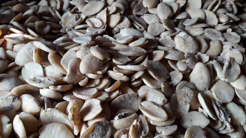 Cameroun: 17 projets soumis à une enquête de l’Agence des normes et de la qualité Cameroun: 17 projets soumis à une enquête de l’Agence des normes et de la qualité