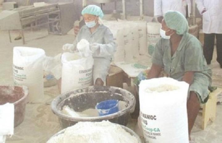 Farines locales : une plateforme des promoteurs voit le jour au Cameroun, dans un contexte d’explosion des coûts du blé Farines locales : une plateforme des promoteurs voit le jour au Cameroun, dans un contexte d’explosion des coûts du blé