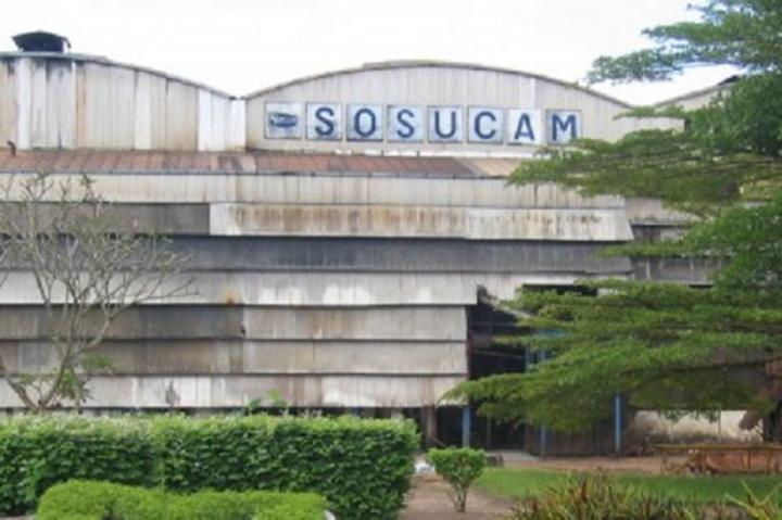 La Sosucam lance la dématérialisation des actions détenues par ses propriétaires pour se conformer à la loi La Sosucam lance la dématérialisation des actions détenues par ses propriétaires pour se conformer à la loi