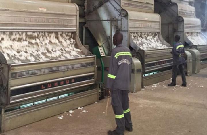 La Sodecoton réalise un bénéfice de 8,4 milliards FCFA en 2021-2022, après une perte de 4,7 milliards FCFA il y a un an La Sodecoton réalise un bénéfice de 8,4 milliards FCFA en 2021-2022, après une perte de 4,7 milliards FCFA il y a un an
