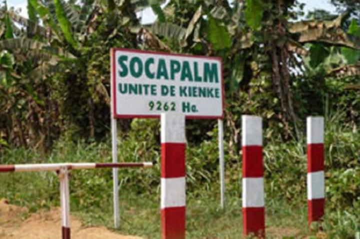 Bvmac : avec 52% des titres échangés, Socapalm, filiale de Socfin, domine le marché des actions en 2021 Bvmac : avec 52% des titres échangés, Socapalm, filiale de Socfin, domine le marché des actions en 2021