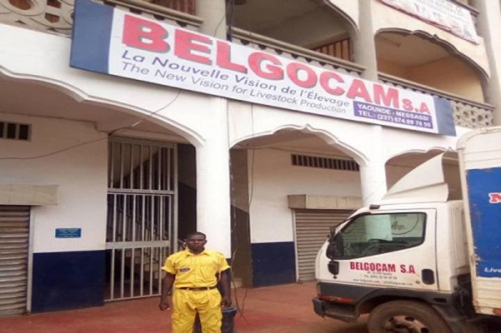 Aviculture : le groupe Noutchogouin injecte 1,6 milliard de FCFA dans le capital de ses filiales Belgocam et Agrocam Aviculture : le groupe Noutchogouin injecte 1,6 milliard de FCFA dans le capital de ses filiales Belgocam et Agrocam