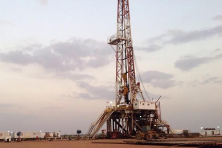 La SNH cherche un partenaire pour exploiter un champ pétrolier onshore dans le bassin Douala-Kribi-Campo La SNH cherche un partenaire pour exploiter un champ pétrolier onshore dans le bassin Douala-Kribi-Campo