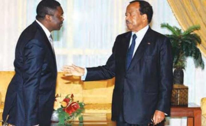 Enquête sur les lignes 65-94 : nouveaux rebondissements explosifs qui impliquent Paul Biya et Ngoh Ngoh Enquête sur les lignes 65-94 : nouveaux rebondissements explosifs qui impliquent Paul Biya et Ngoh Ngoh
