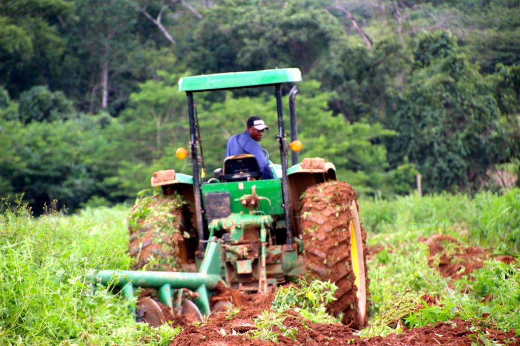 business plan agriculture cameroun