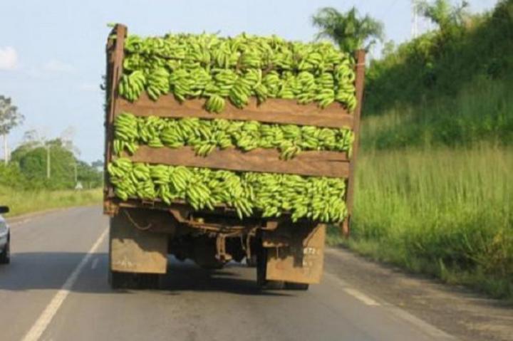 Corridor Cameroun-Gabon : un transporteur est contrôlé 44 fois et paie 1,5 million de FCFA de pots-de-vin (rapport) Corridor Cameroun-Gabon : un transporteur est contrôlé 44 fois et paie 1,5 million de FCFA de pots-de-vin (rapport)