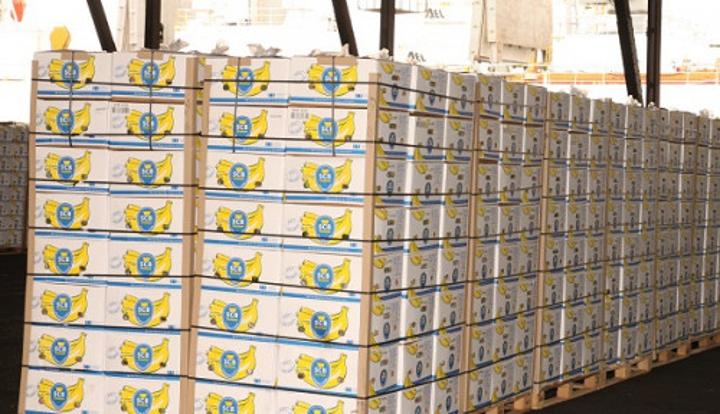 Bananes : légère baisse des exportations du Cameroun en janvier 2023 (-1,6%), malgré la performance de la CDC (+83%) Bananes : légère baisse des exportations du Cameroun en janvier 2023 (-1,6%), malgré la performance de la CDC (+83%)