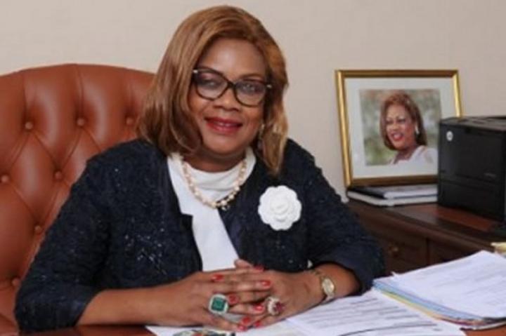 Incitations : l’API favorise près de 1 000 milliards de FCFA d’investissements privés au Cameroun en 5 ans Incitations : l’API favorise près de 1 000 milliards de FCFA d’investissements privés au Cameroun en 5 ans