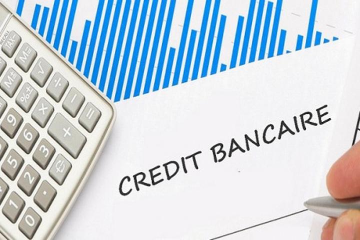 Cemac : la baisse des crédits bancaires aux grandes entreprises (-18,2%) profite aux PME (+27,7%) au 3e trimestre 2022 Cemac : la baisse des crédits bancaires aux grandes entreprises (-18,2%) profite aux PME (+27,7%) au 3e trimestre 2022