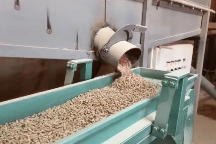 Alimentation animale : la société FAE veut industrialiser sa production en investissant plus d’un demi-milliard de FCFA Alimentation animale : la société FAE veut industrialiser sa production en investissant plus d’un demi-milliard de FCFA