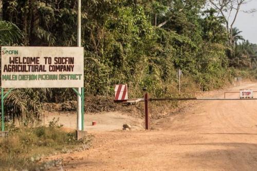 Dividendes : en 2022, Safacam rapporte 2 milliards de FCFA à Bolloré et 266 millions à l’État du Cameroun Dividendes : en 2022, Safacam rapporte 2 milliards de FCFA à Bolloré et 266 millions à l’État du Cameroun
