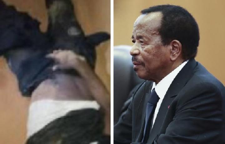 Crime d'État : le suspect n°1 du meurtre d'Ola Bébé trouvé, un signalement complet transmis à Biya Crime d'État : le suspect n°1 du meurtre d'Ola Bébé trouvé, un signalement complet transmis à Biya