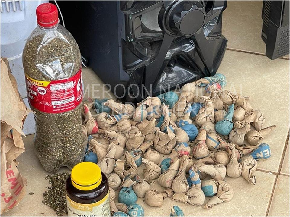 Cameroun : huit personnes arrêtées en possession de drogue Cameroun : huit personnes arrêtées en possession de drogue