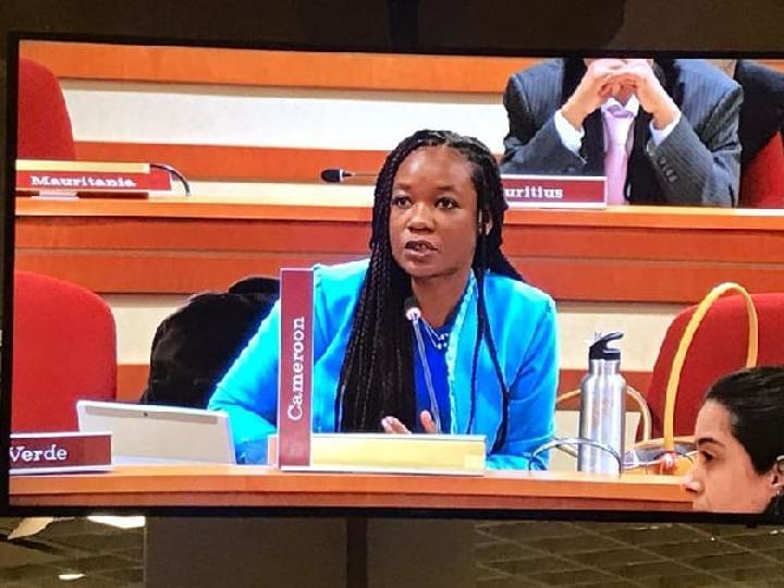 Bonne nouvelle : la diplomatie de Paul Biya honoré à l’ONU Bonne nouvelle : la diplomatie de Paul Biya honoré à l’ONU