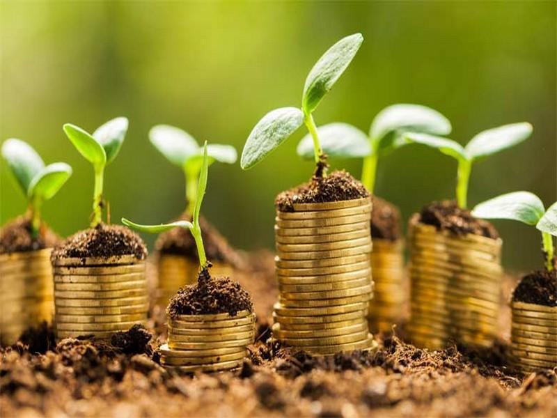 Cameroun-Berlin : des projets innovants pour briser les murs Cameroun-Berlin : des projets innovants pour briser les murs