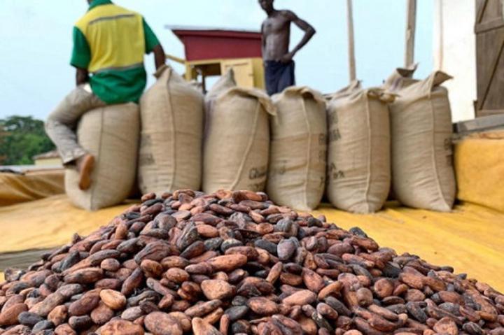Cacao : le Cameroun interdit les exportations vers le Nigeria, accusé de siphonner la production du Sud-Ouest Cacao : le Cameroun interdit les exportations vers le Nigeria, accusé de siphonner la production du Sud-Ouest