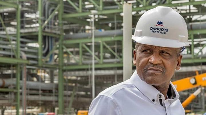 Fortune : il croise la route de Dangote et se fait déjà classer comme le jeune plus riche du Cameroun Fortune : il croise la route de Dangote et se fait déjà classer comme le jeune plus riche du Cameroun