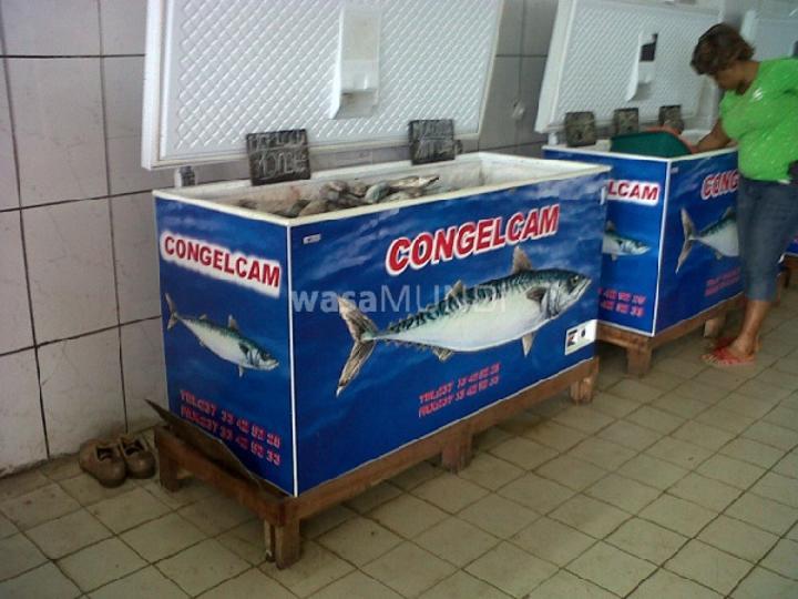 Du poisson pourri au port de Douala : qui va payer? Du poisson pourri au port de Douala : qui va payer?