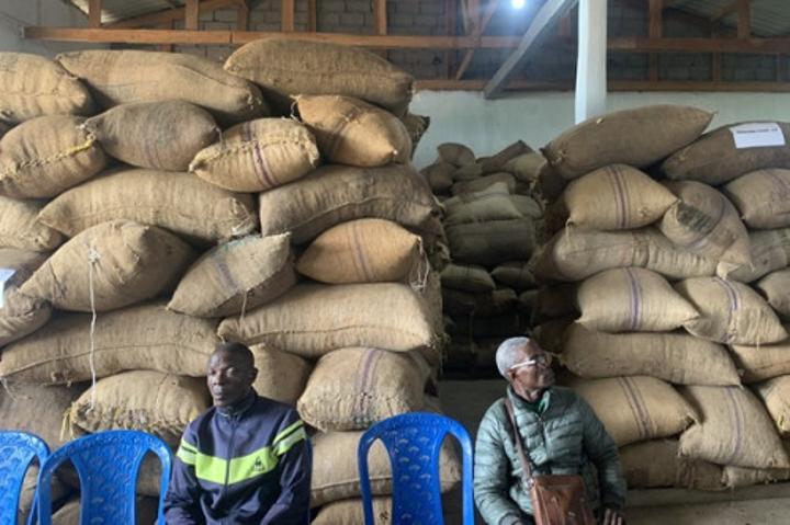 Cacao : face à la rareté des fèves, Atlantic Cocoa monte les enchères avec un prix d’achat record de 2 015 FCFA le kg Cacao : face à la rareté des fèves, Atlantic Cocoa monte les enchères avec un prix d’achat record de 2 015 FCFA le kg