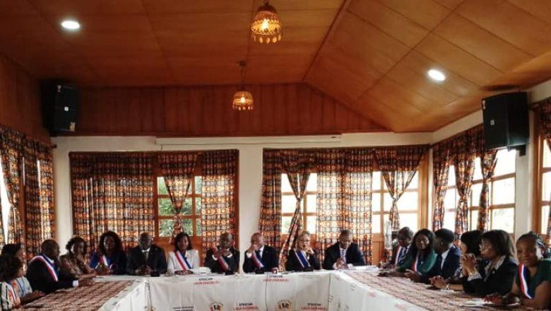 Coopération décentralisée : une délégation d’élus français d’origine camerounaise en mission d’investissement au cameroun Coopération décentralisée : une délégation d’élus français d’origine camerounaise en mission d’investissement au cameroun