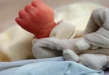 Cameroun : Le bébé, les deux pères et plus Cameroun : Le bébé, les deux pères et plus